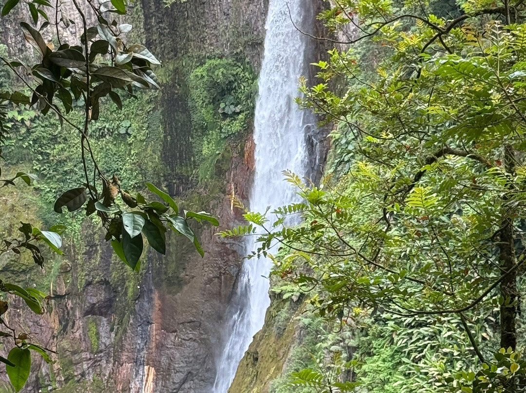 Catarata Del Toro-Bajos del Toro必去景点