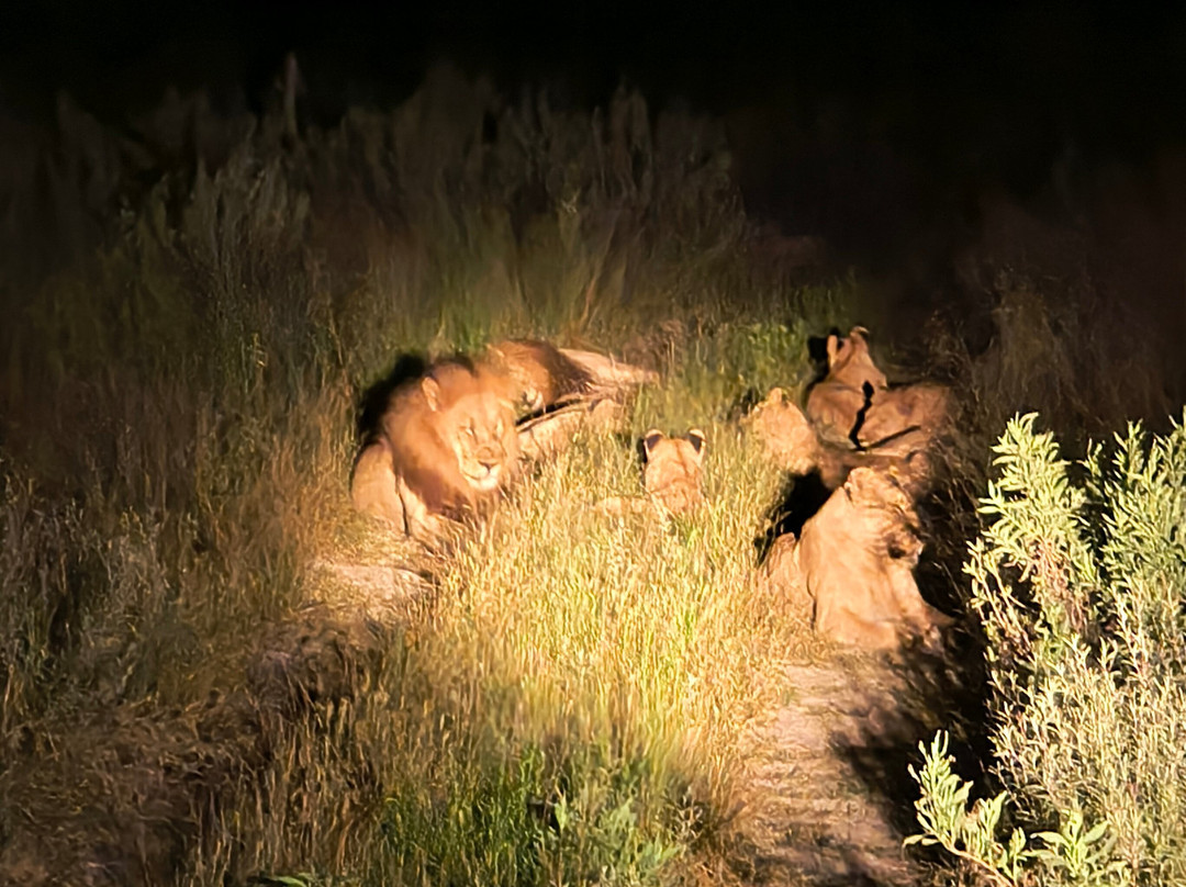 The African Wild-马翁必去景点