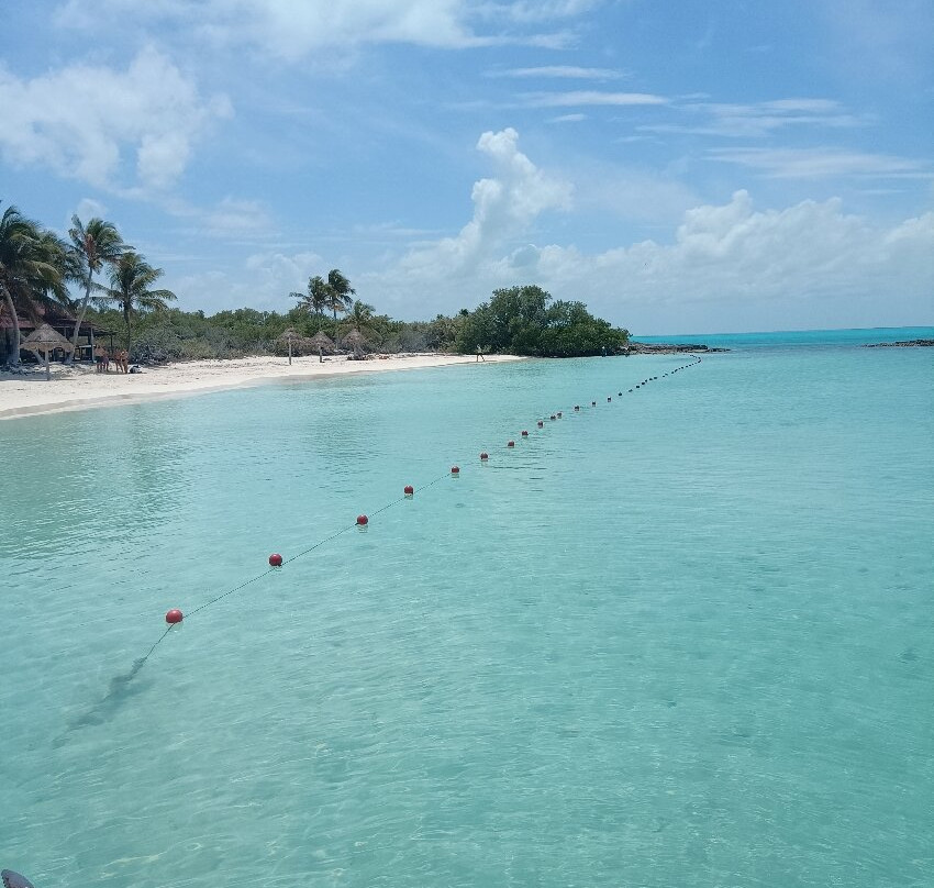Isla Contoy National Park-Isla Contoy必去景点