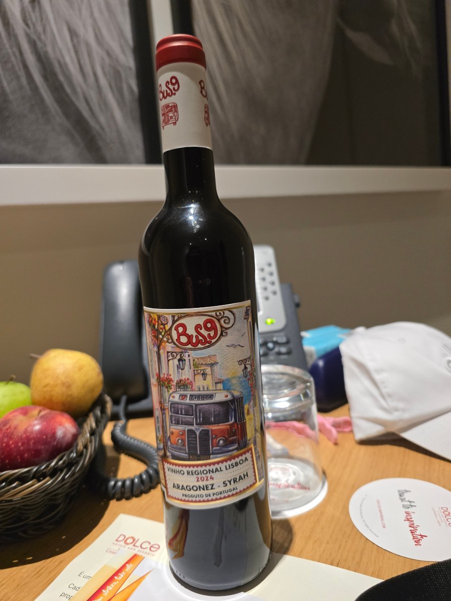 里斯本卡普日尔道玺温德姆酒店-旅行者