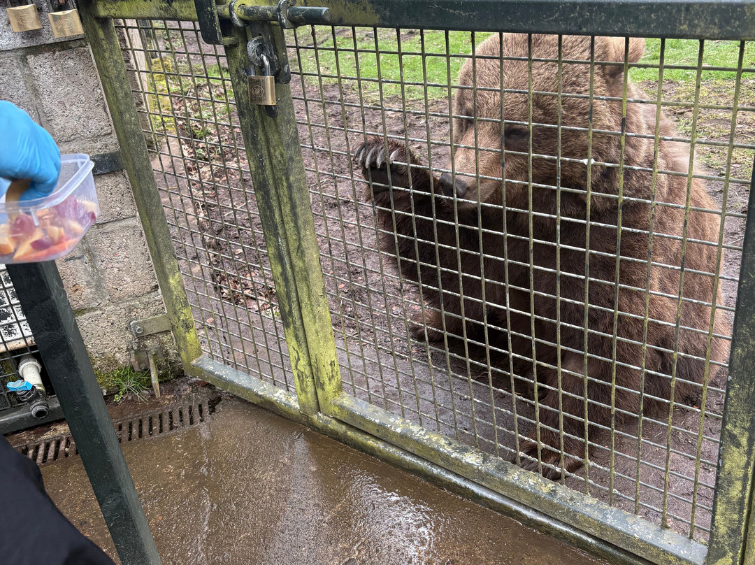 Five Sisters Zoo-West Calder必去景点