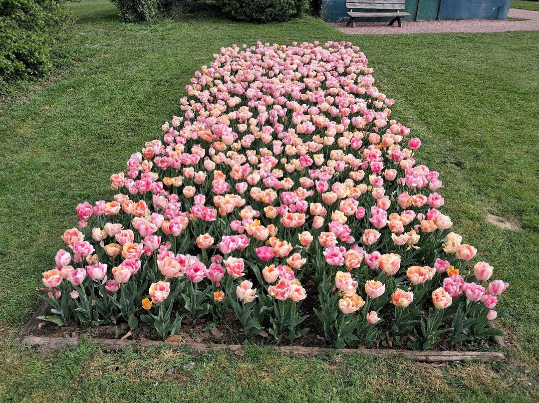 Floralia - Spring Flower Show-古鲁特－北臼阿登必去景点