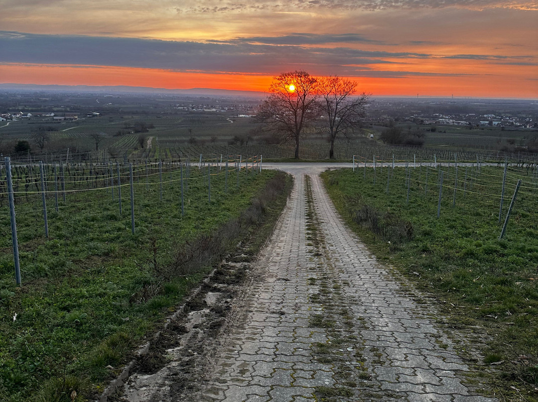 Kaisergarten酒店代德斯海姆主图