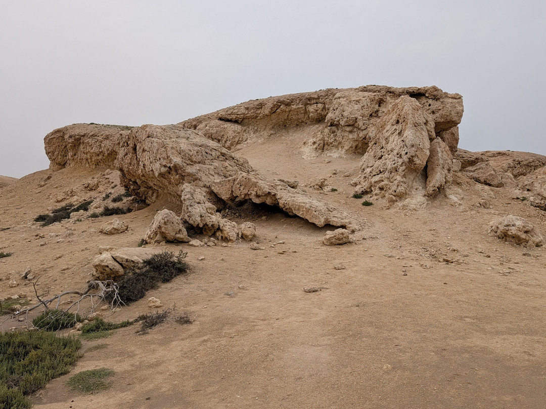Purple Island - Al Khor Island-Al Khor必去景点
