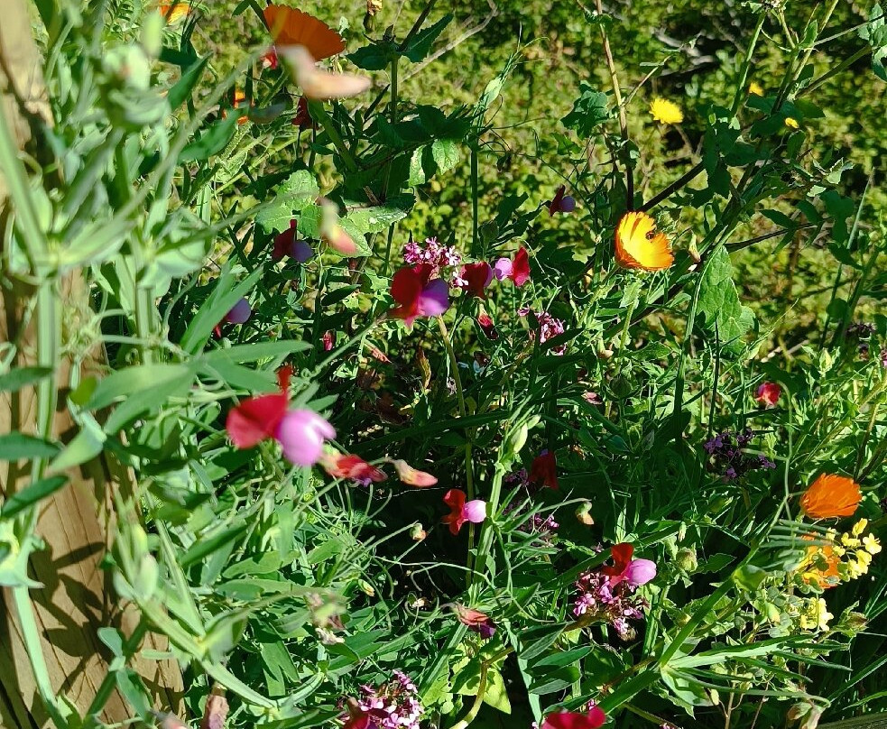 Siciliavagando Adventures-Ragusa CIty必去景点