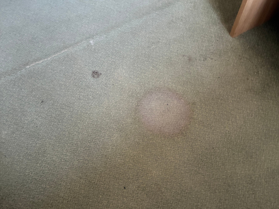 Valley of the Rocks-林茅斯必去景点