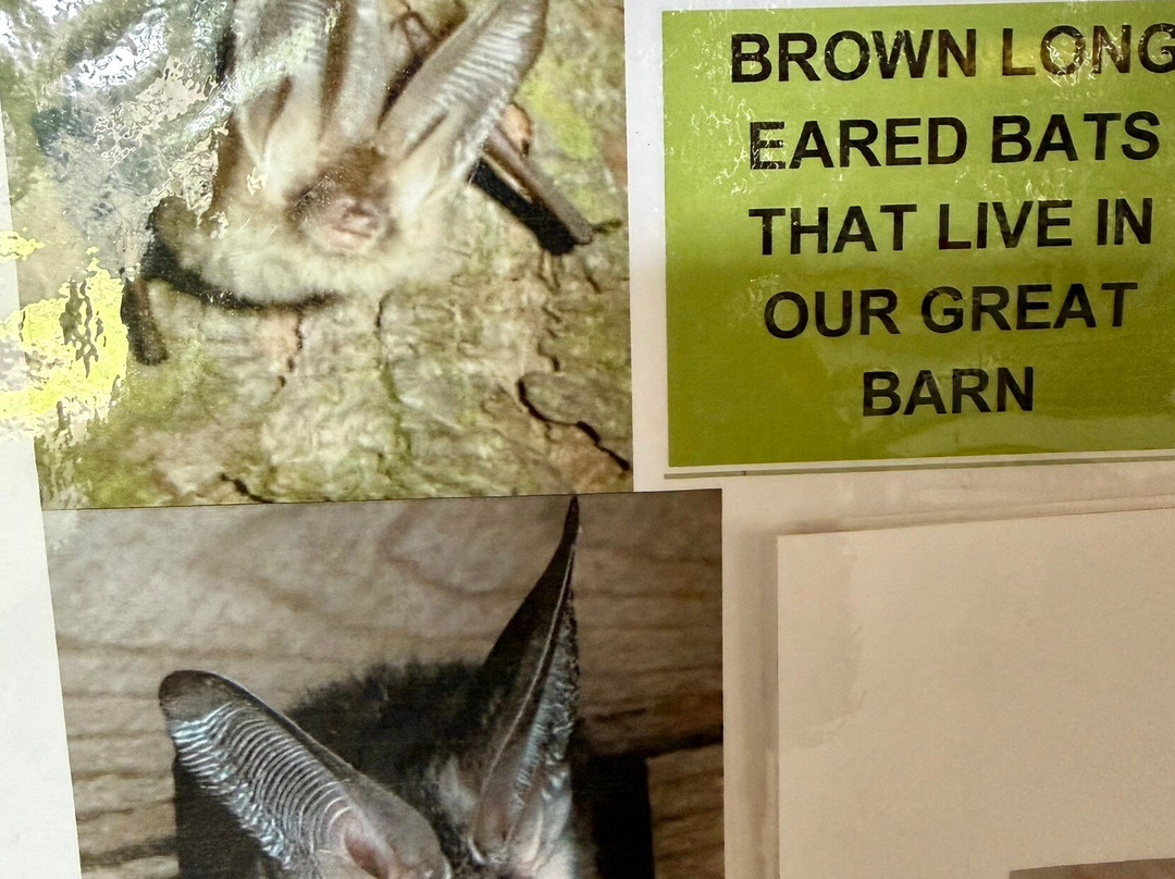 The Great Barn-Harmondsworth必去景点