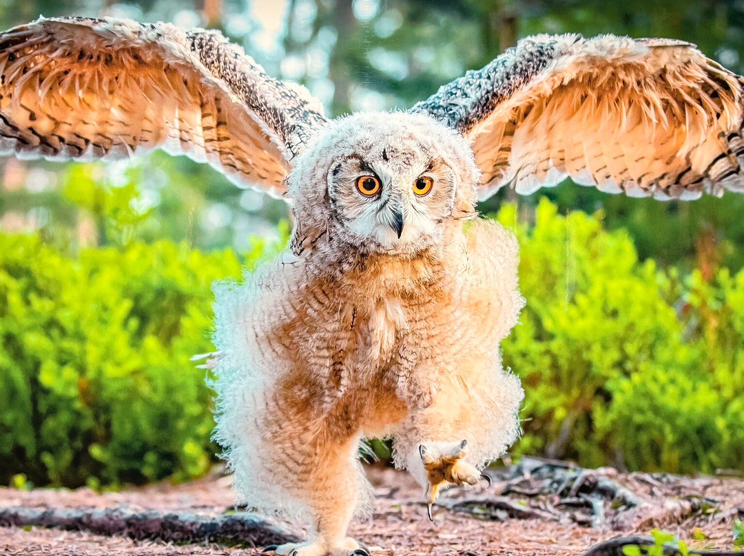 Gasometer Oberhausen-奥伯豪森必去景点