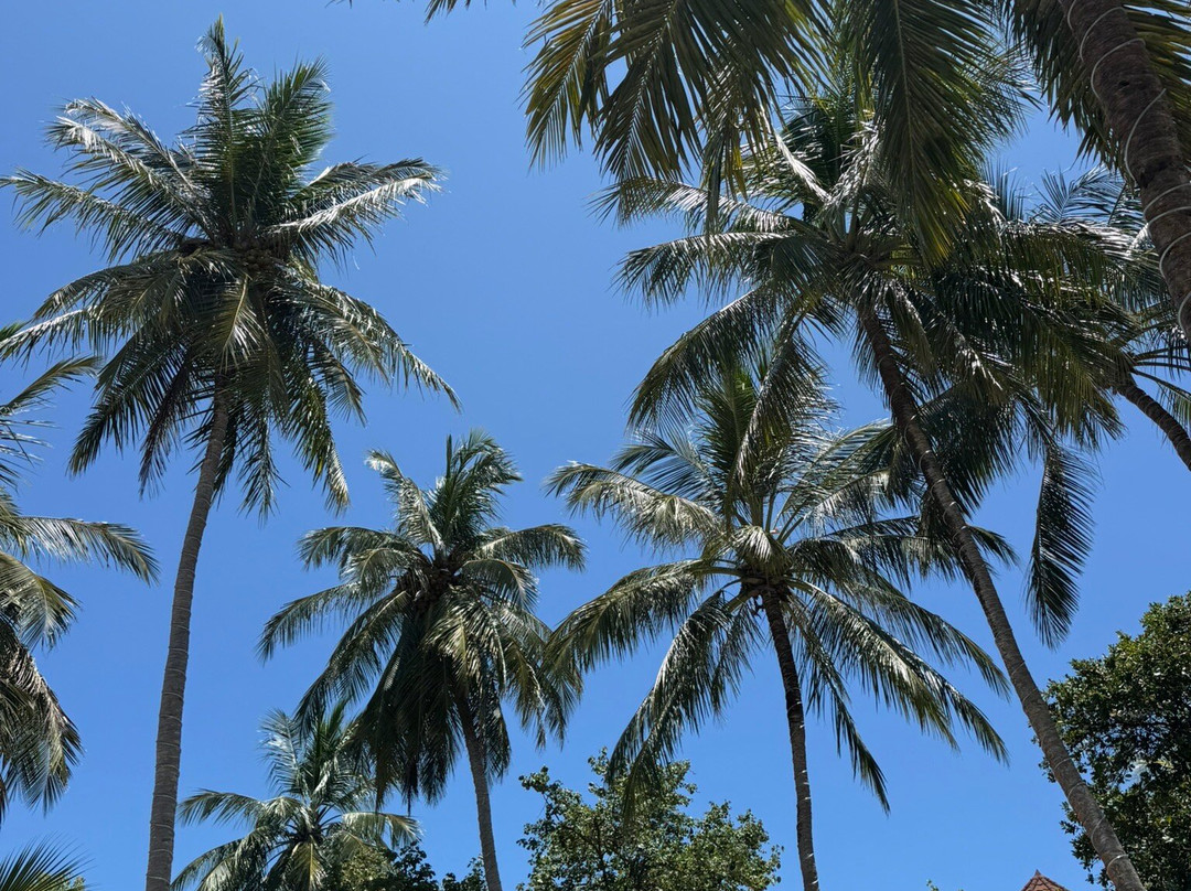 鲁滨逊俱乐部度假村主图