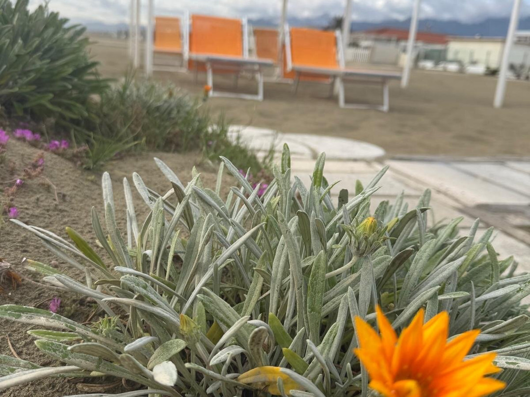 Bagno Nettuno Alba-马里纳迪彼得拉桑塔必去景点