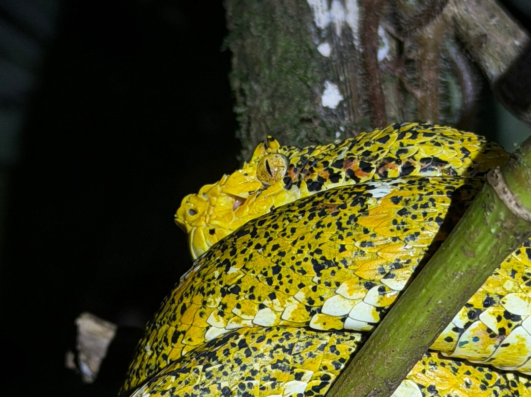 Tapir Valley Nature Reserve-Bijagua de Upala必去景点