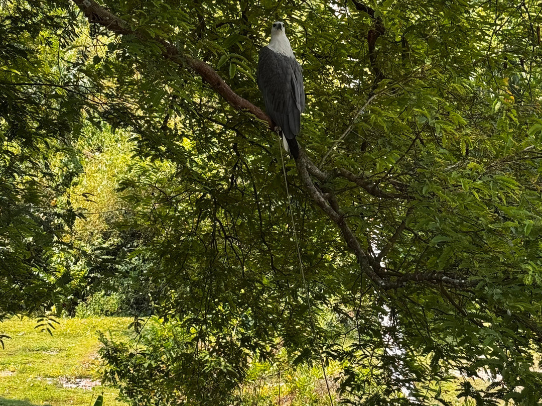 Our Magical Thailand-阁耀亚伊岛必去景点