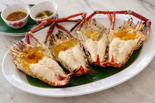 班蓬佩特酒店-旅行者