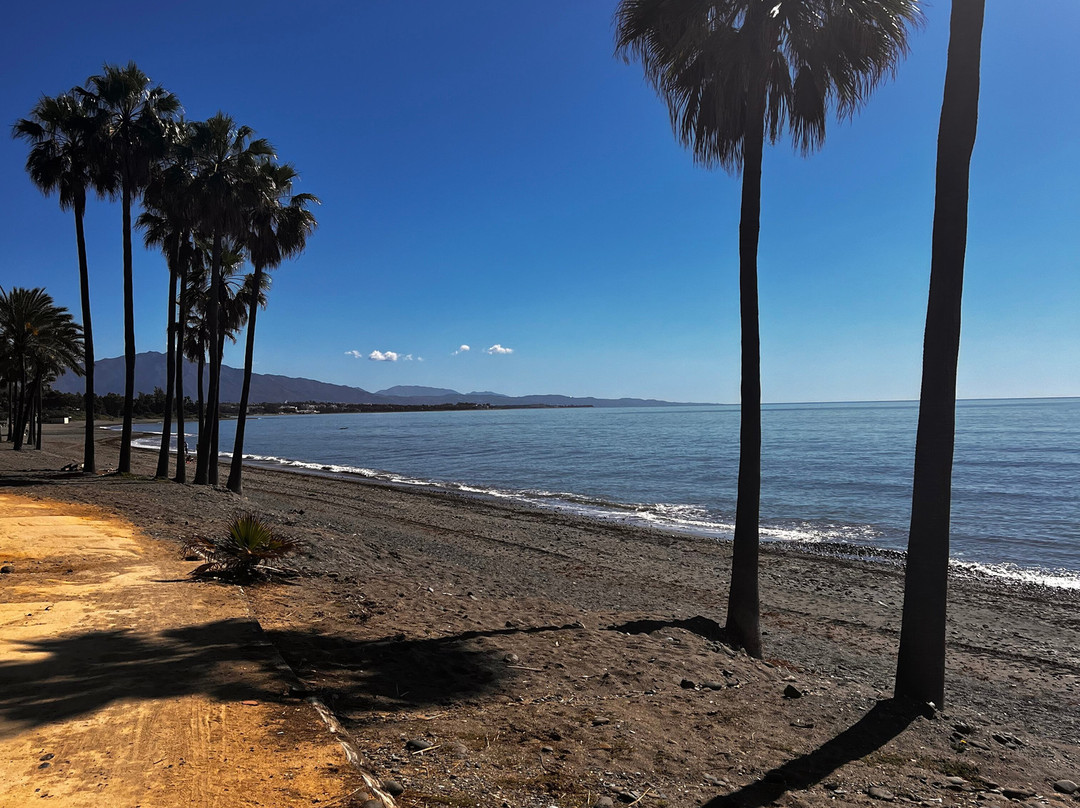 伊科斯安达卢西亚主图