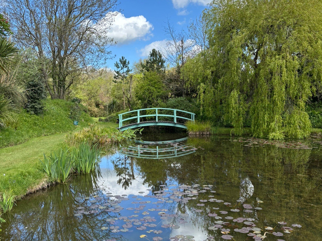 Bennetts Water Gardens-Chickerell必去景点