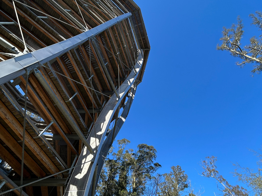 Treetop Walk Avondale-Rathdrum必去景点