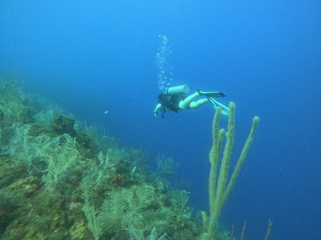 Anda Di Wata Dive School-Providencia Island必去景点