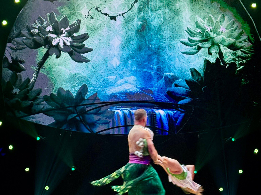 Cirque du Soleil 'Auana-火奴鲁鲁必去景点