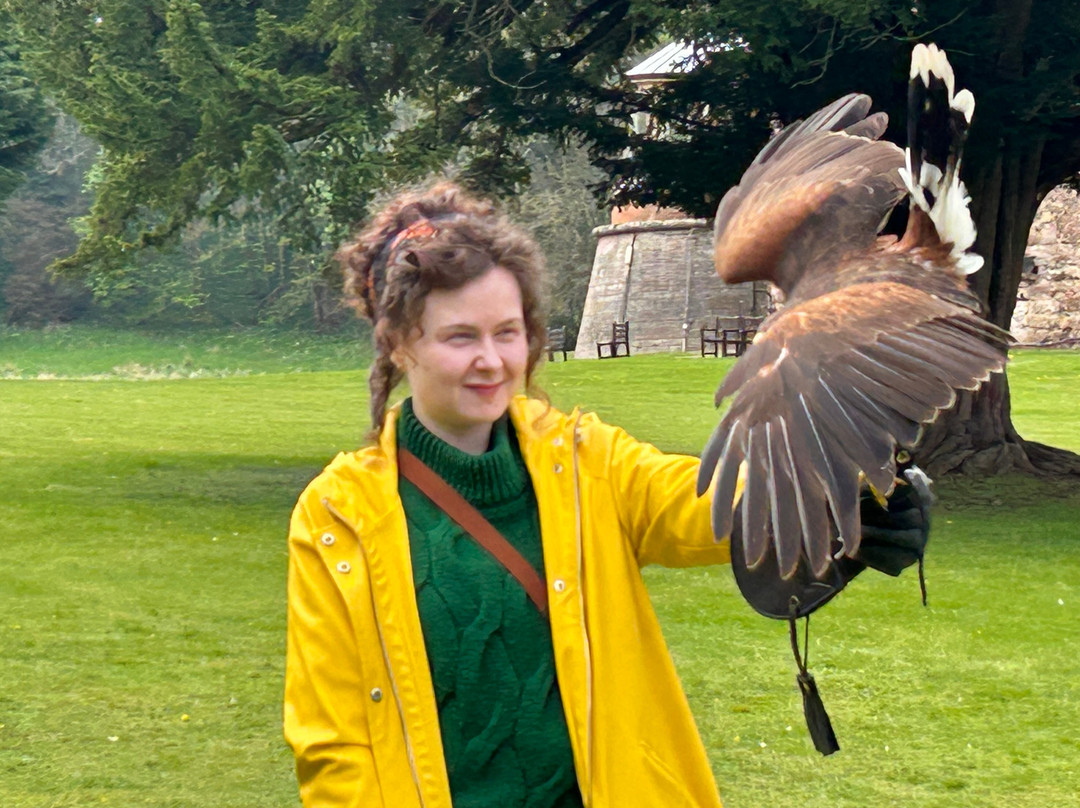 Dalhousie Castle Falconry-邦尼里格必去景点