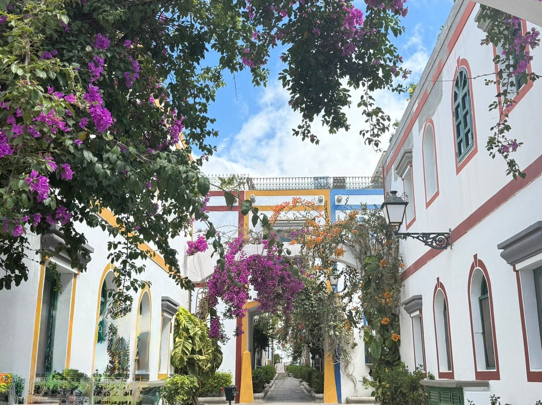 Playa de Mogan-莫干港必去景点