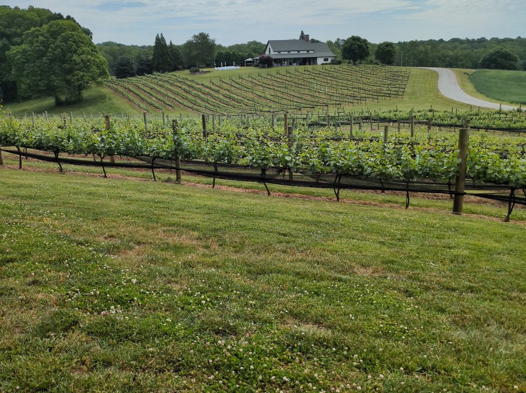 Pop The Cork Wine Tours-亚特兰大必去景点