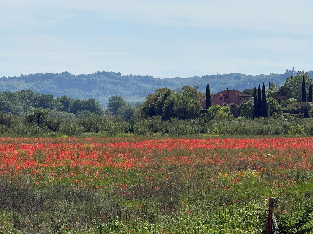 Toscana by Bike-蒙特斯佩托利必去景点