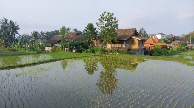 阿南达JJ乌布水疗度假村-旅行者