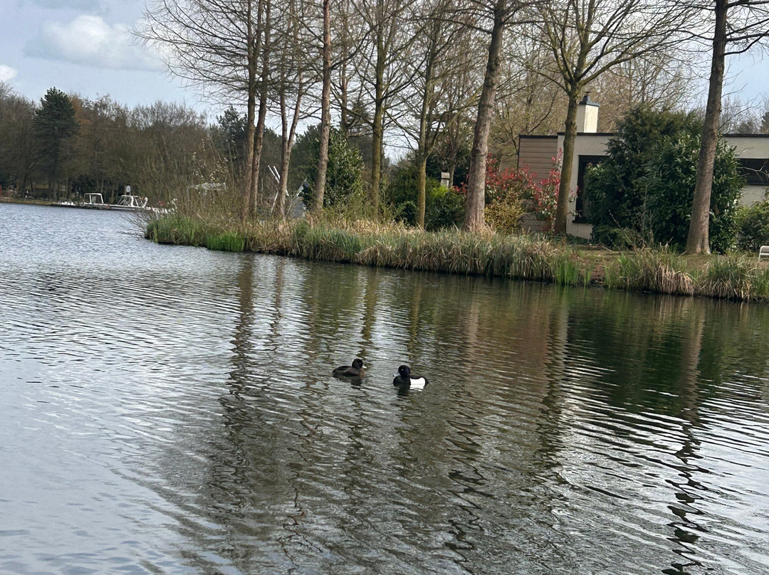 Center Parcs Het Heijderbos主图