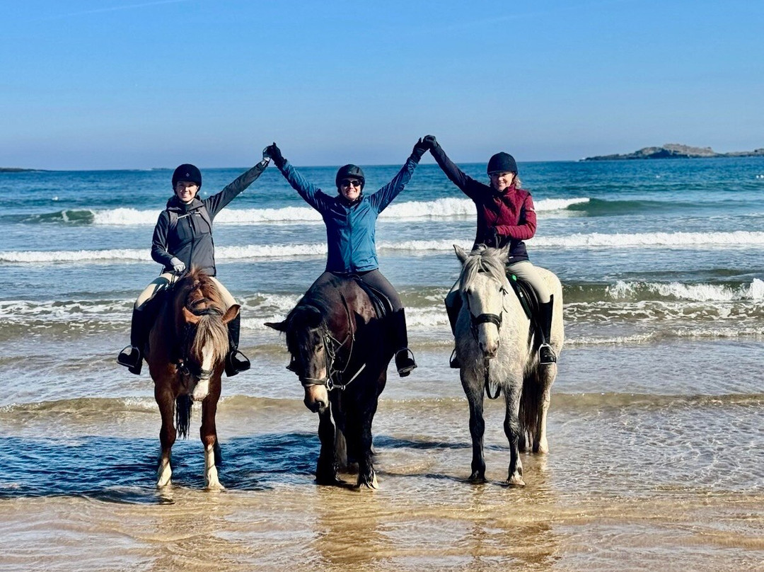Bespoke Equestrian Ireland-都柏林必去景点