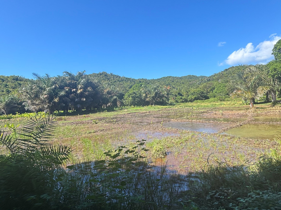 Best Trip Nosybe Madagascar-Madirokely必去景点