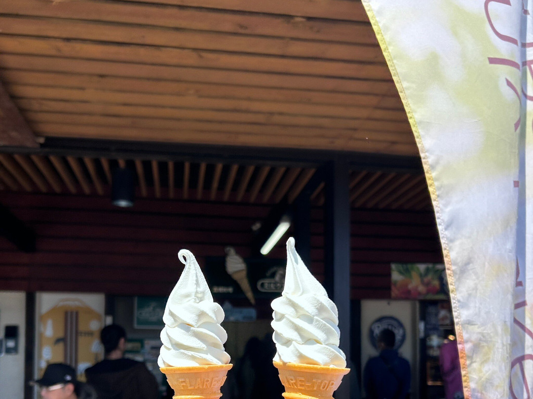 Michi-no-Eki Niseko View Plaza-二世谷町必去景点