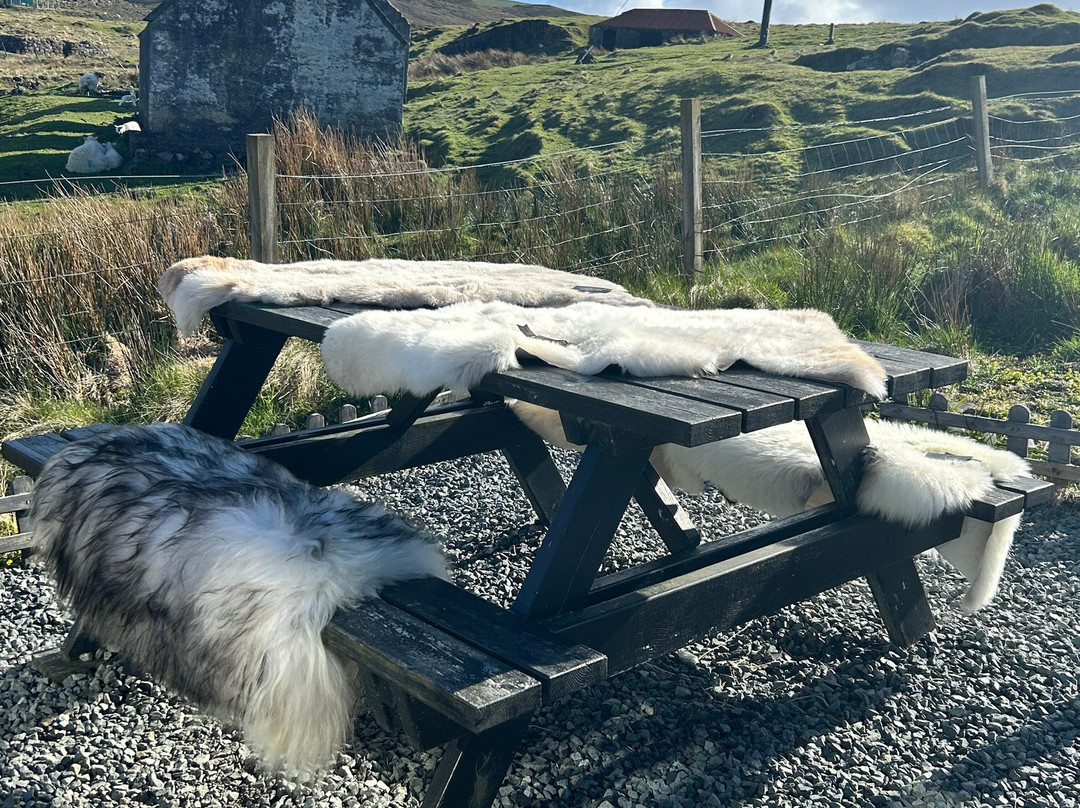 Gift Shop sheepskins skye-Glendale必去景点