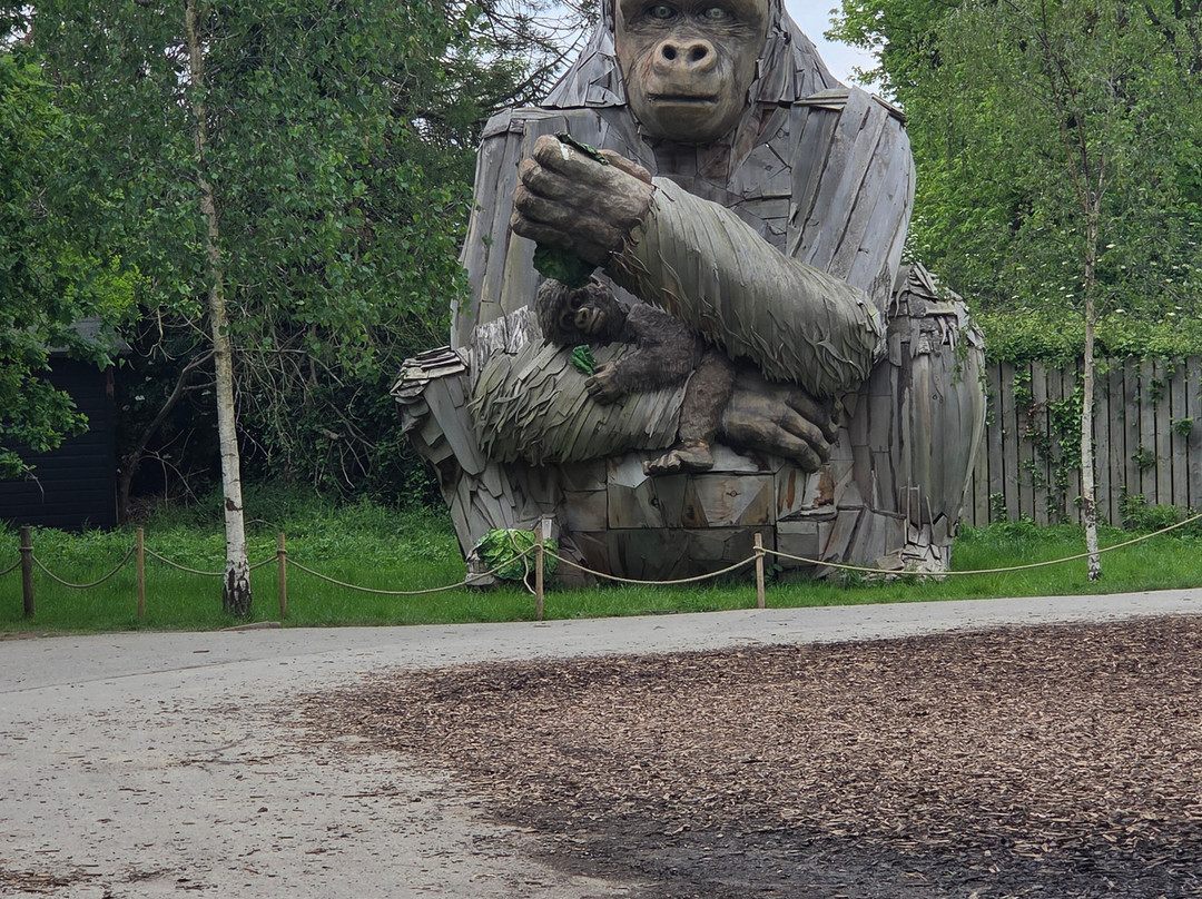 Bristol Zoo Project-Easter Compton必去景点