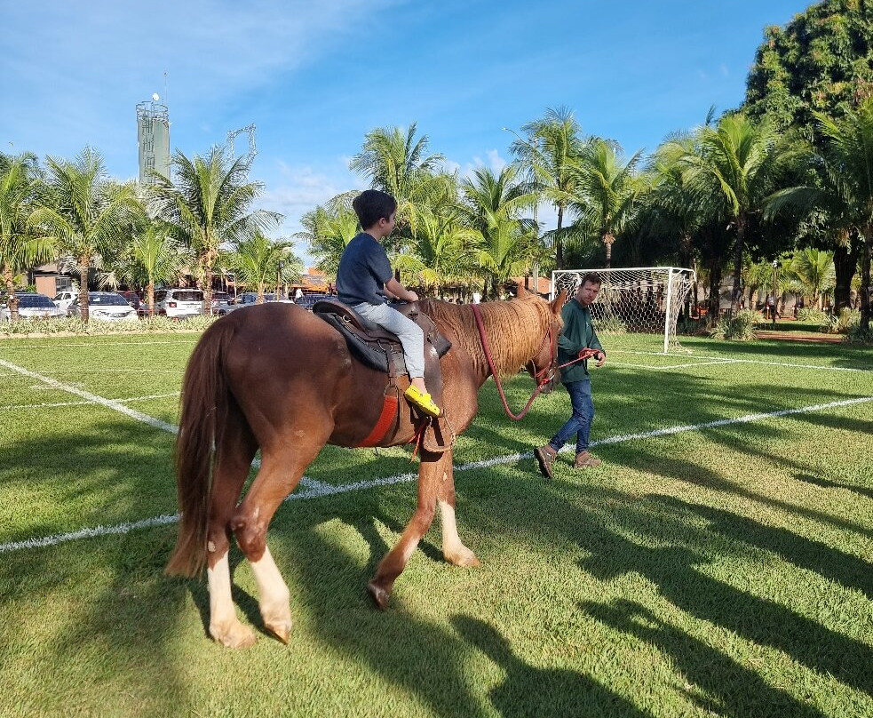 Carpe Diem Eco Resort 奥林匹亚主图