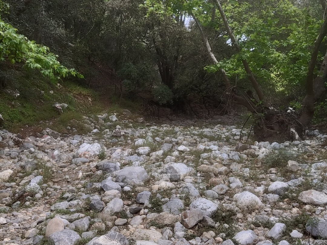 Aposelemis canyon-Analipsi必去景点