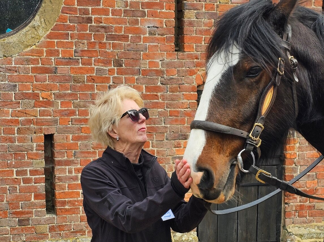 Acton Scott Heritage Farm-Acton Scott必去景点