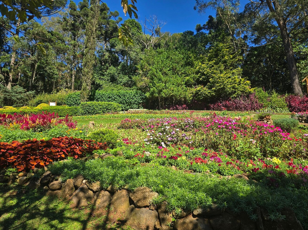 Jardim dos Pinhais Ecco Parque-圣安东尼奥杜皮尼亚尔必去景点