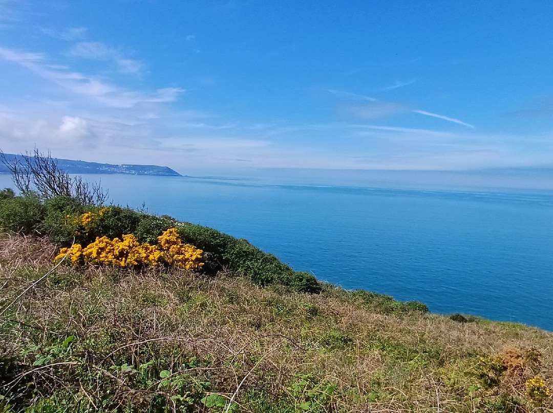 Ceredigion Coast Path-阿伯里斯特威斯必去景点