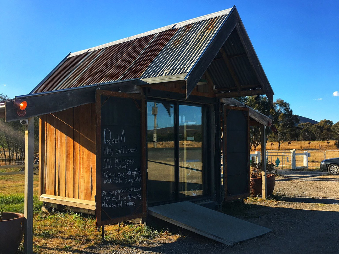 Majura Valley Free Range Eggs Farm.-Kingston必去景点