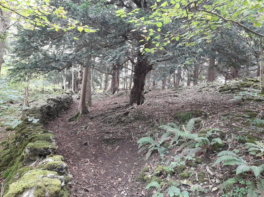 Grubbins Wood-Arnside必去景点