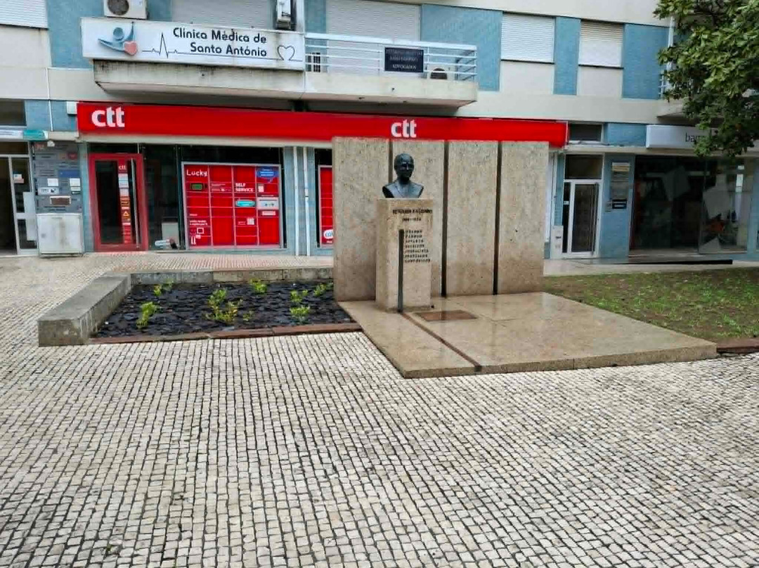 Busto de Benjamim Salgado-法马利康新镇必去景点