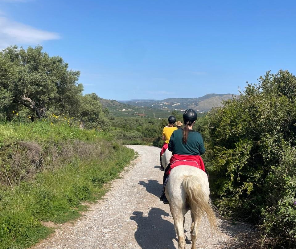 Horseriding Georgoupolis/ Grillo's Stable-Georgioupolis必去景点
