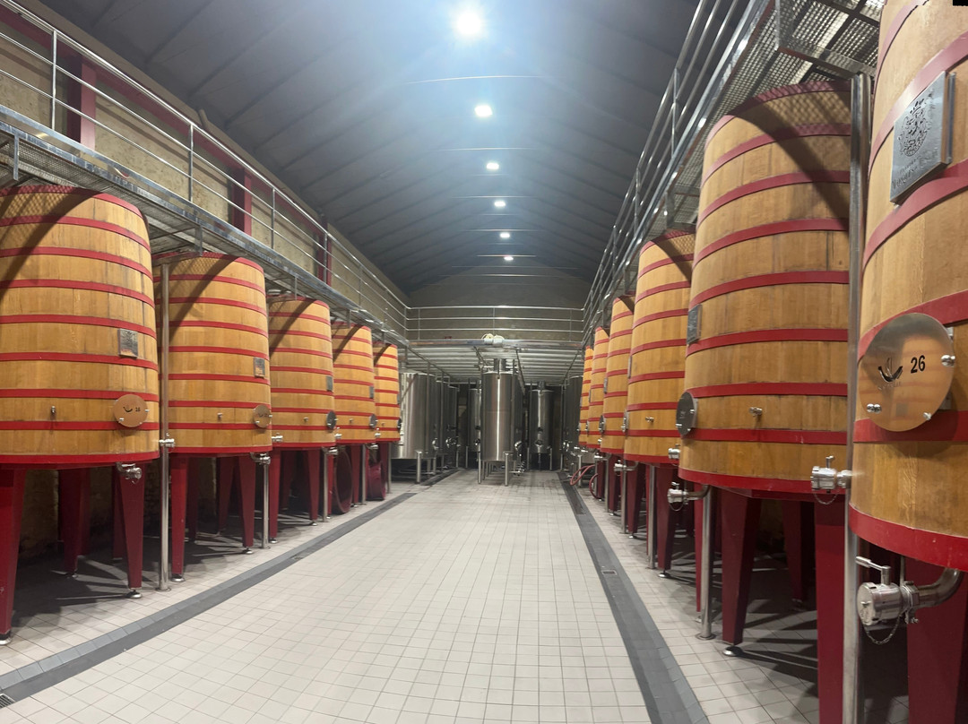 Bodegas Marques de Riscal-Elciego必去景点