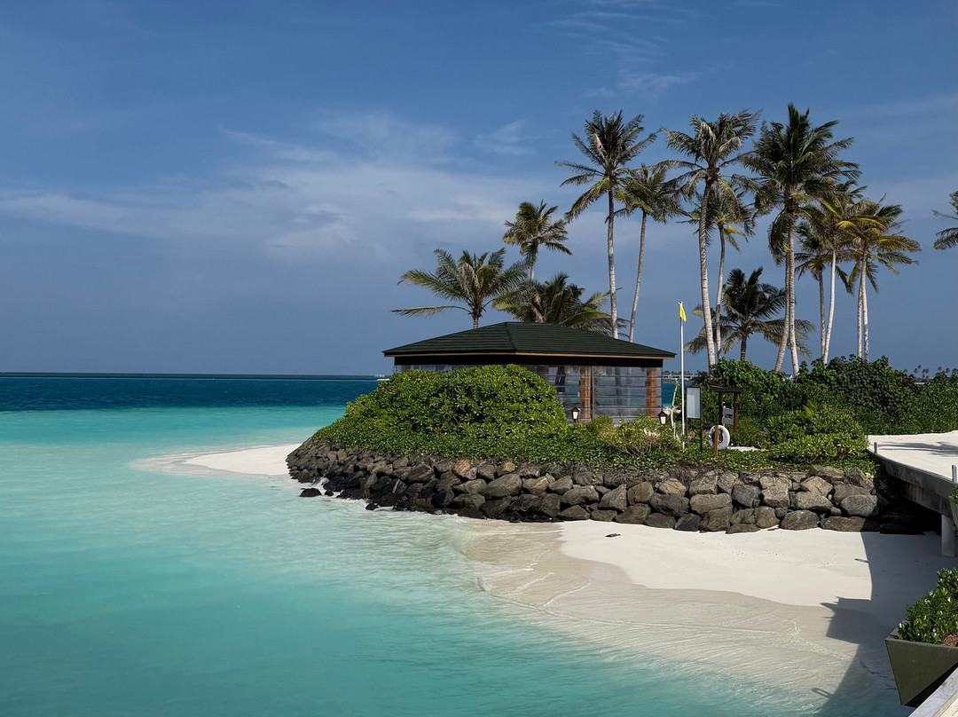Joy Island Maldives by Cocoon Collection主图