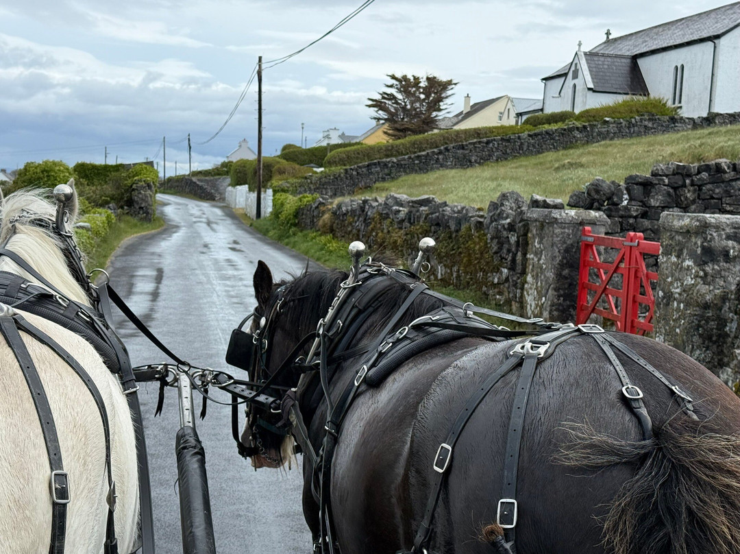 Thomas Faherty Tours-Inishmore必去景点