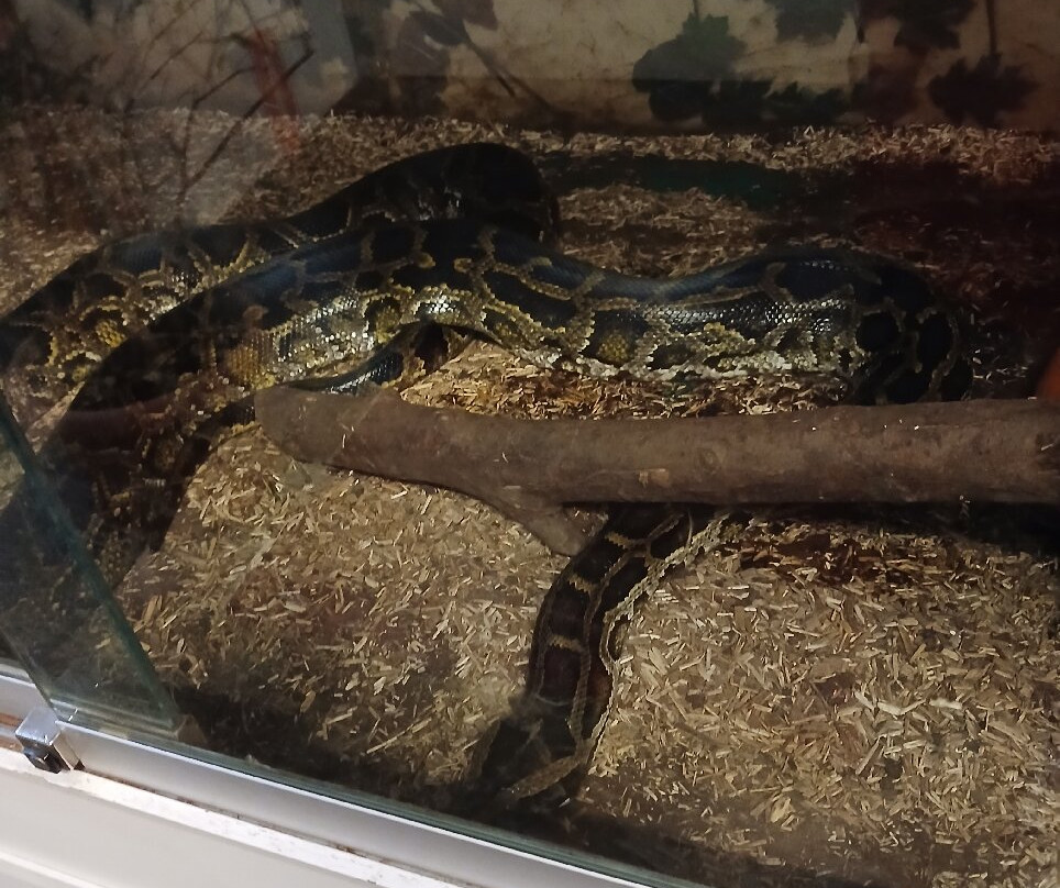 Reptiland-里瓦德尔加尔达必去景点