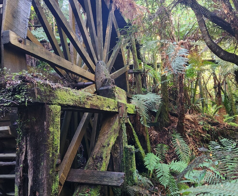 Mitchells Gully Goldmine-Charleston必去景点