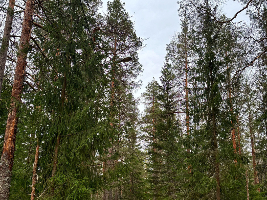 Nuuksio National Park-埃斯波必去景点