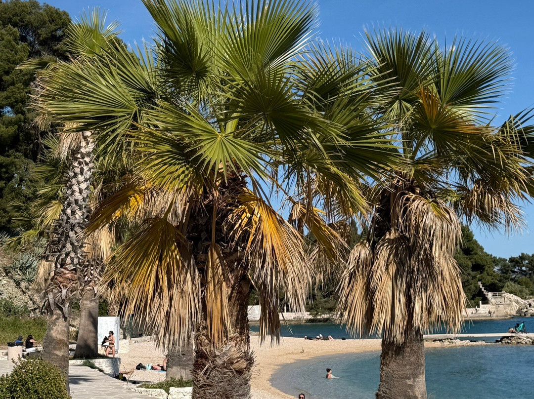 Kasjuni Beach-斯普利特必去景点