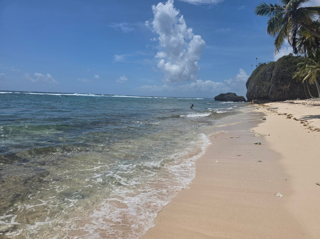 Playa Frontón-Las Galeras必去景点